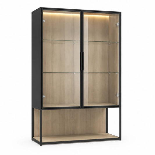Vitrine en Metal et Verre avec Éclairage LED Noir 120x40x200 cm